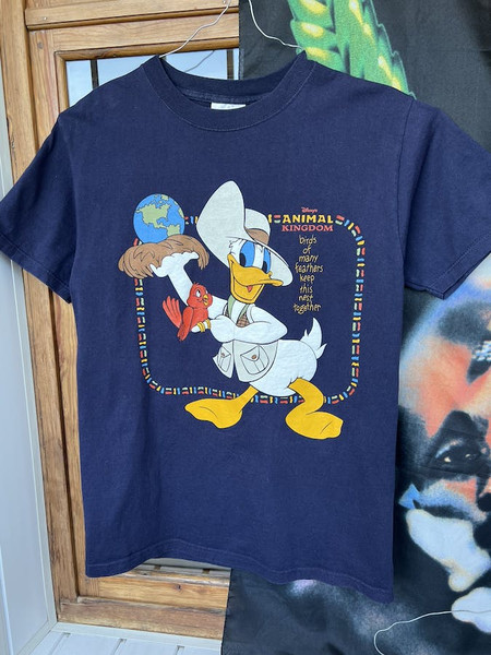 Disney shirt animal kingdom like Splash Mountain.jpg