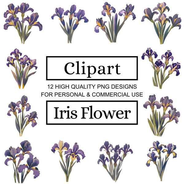 Iris Flower Clipart Designs 1.jpg