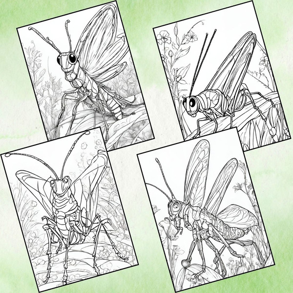 Grasshopper Coloring Pages 4.jpg