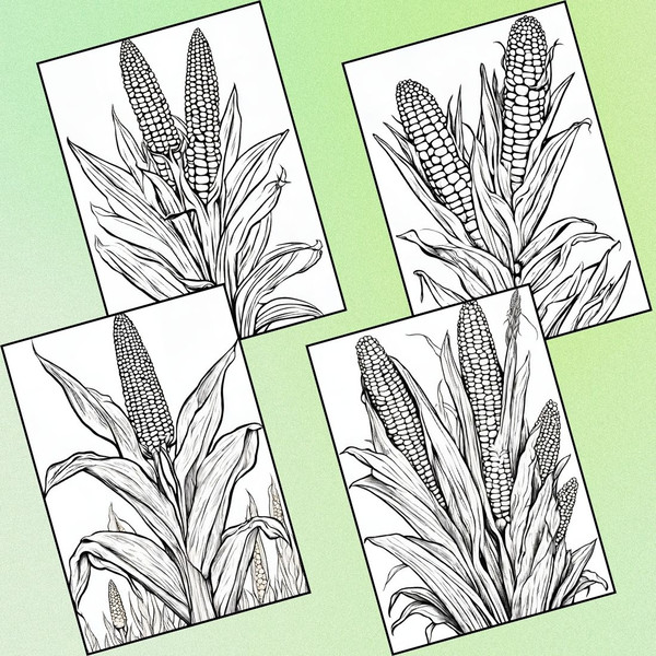 Corn Coloring Pages 2.jpg
