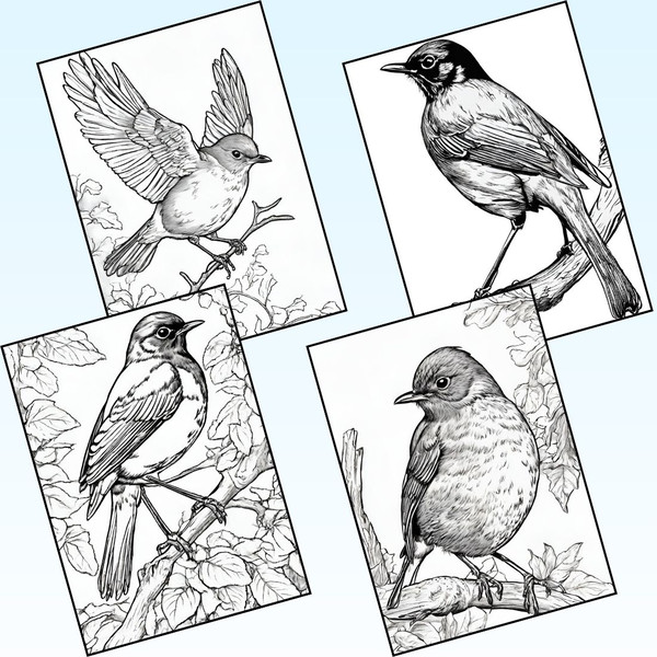 American Robin Coloring Pages 2.jpg