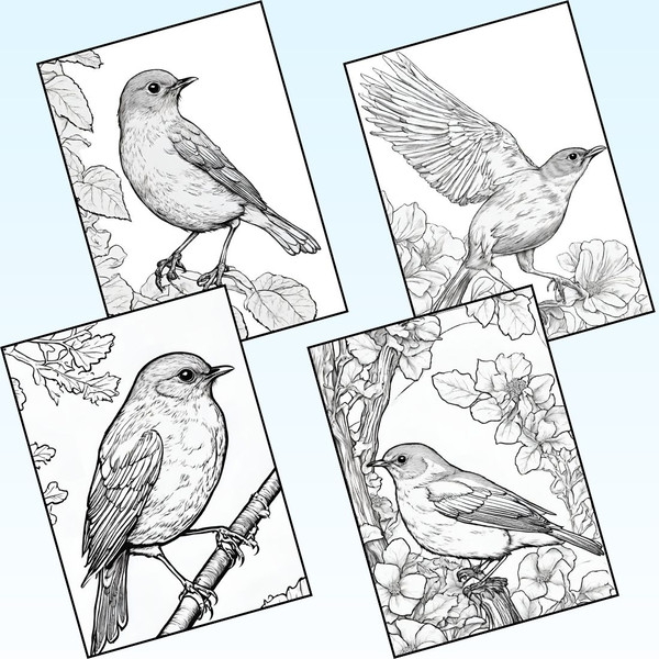 American Robin Coloring Pages 4.jpg