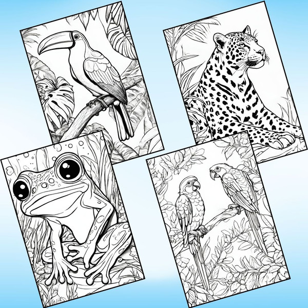 Rainforest Animals Coloring Pages 4.jpg