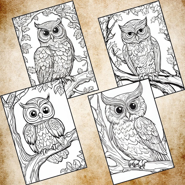Detailed Owl Coloring Pages 3.jpg