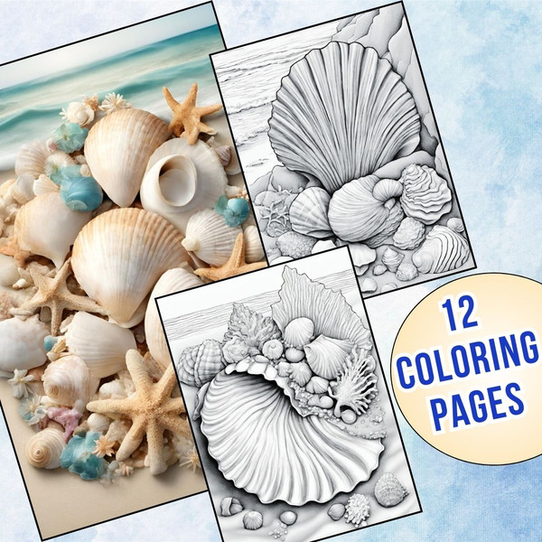 Seashell Coloring Pages for Adults 1.jpg