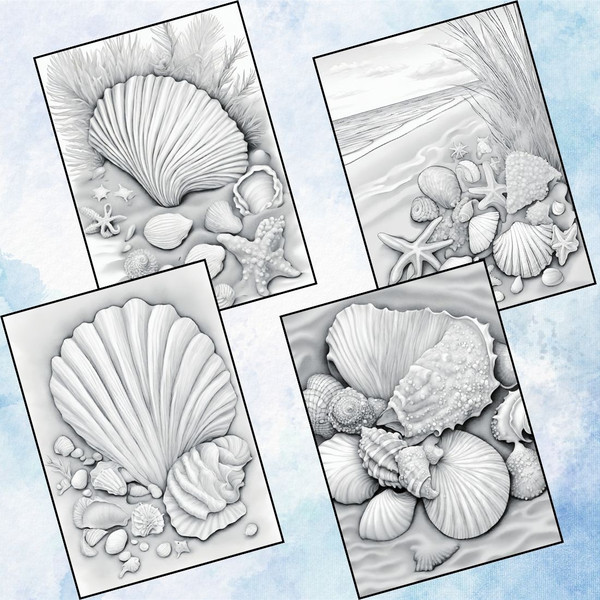 Seashell Coloring Pages for Adults 2.jpg