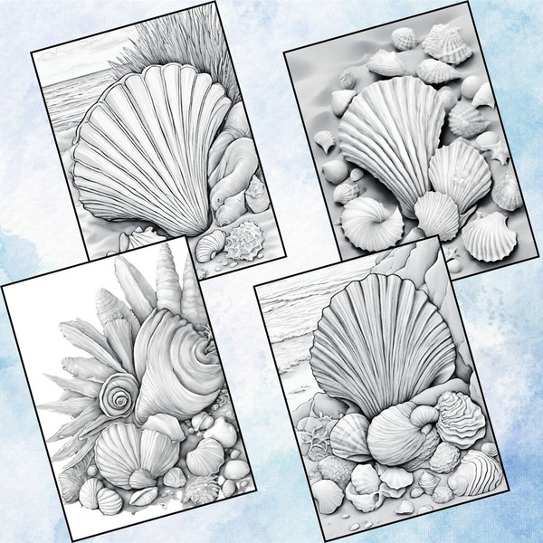 Seashell Coloring Pages for Adults 3.jpg