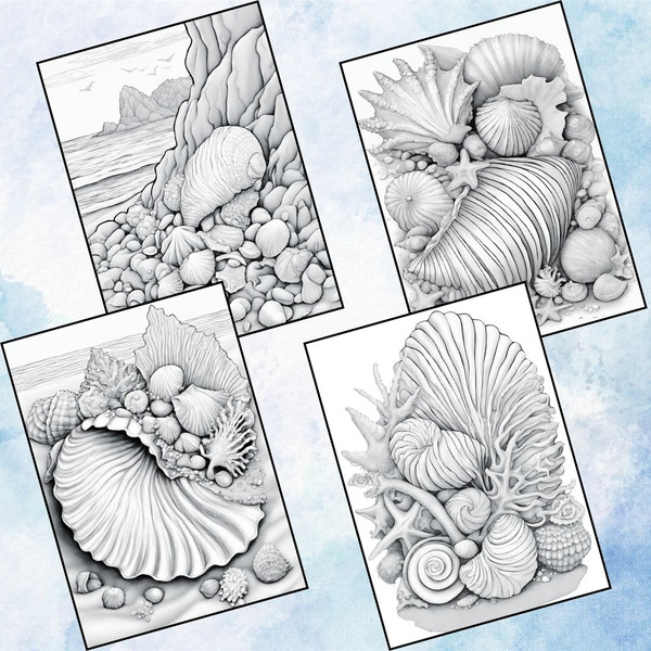 Seashell Coloring Pages for Adults 4.jpg