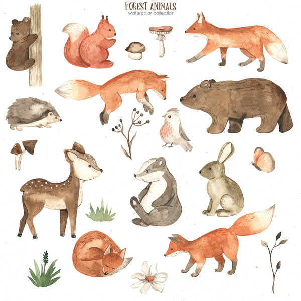 2 Forest animals watercolor.jpg