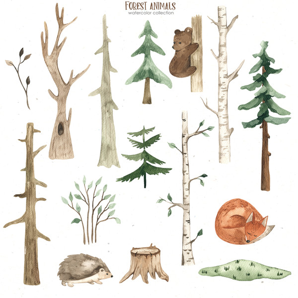3 Forest animals watercolor.jpg