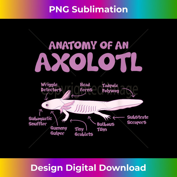Anatomy Of An Axolotl Axolotls Funny Biology Diagram Science