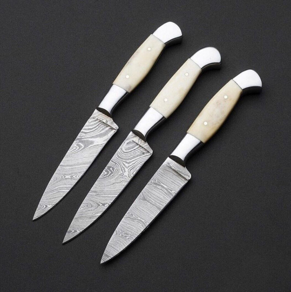 Set of 3 Kitchen Chef's Knives Lot of 3 Chef knife, Damascus Steel & Bone Handle (1).jpg