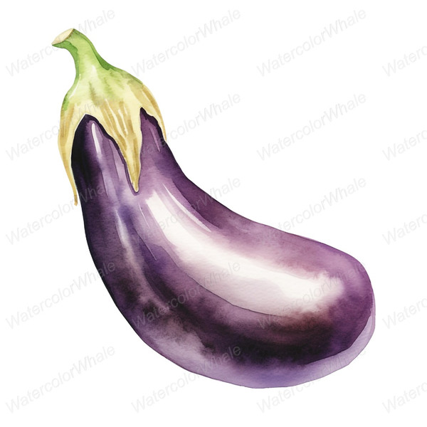 2-american-eggplant-clipart-png-transparent-background-vegetable.jpg