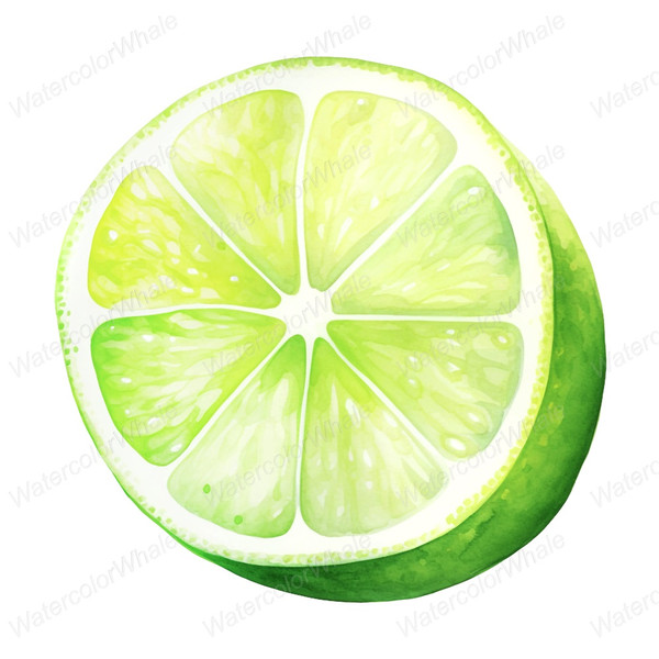 11-slice-of-lime-fruit-clipart-image-png-clear-background.jpg