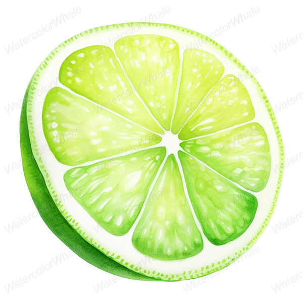 6-lime-slice-clipart-transparent-background-png-vitamin-c-source.jpg