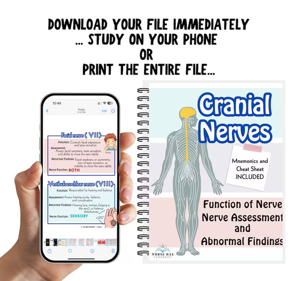 Cranial Nerves Study Guide (4).png