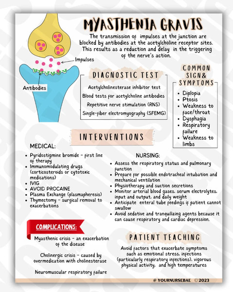 Neuro Study Guide (4).png