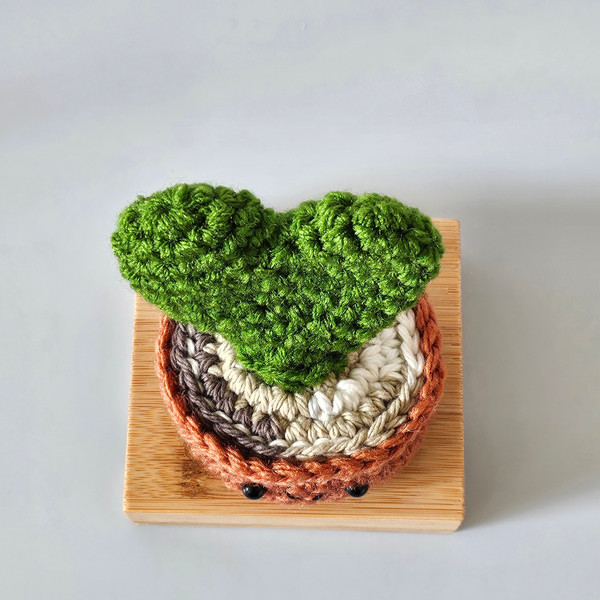 Crochet Hoya Kerrii (Heart Succulent) Plant in Rust Pot 2.jpg