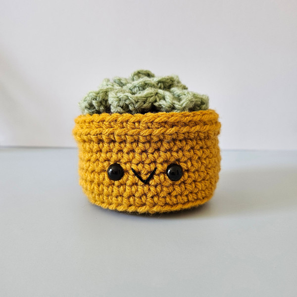 Crochet Small Succulent in Gold Pot 1.jpg