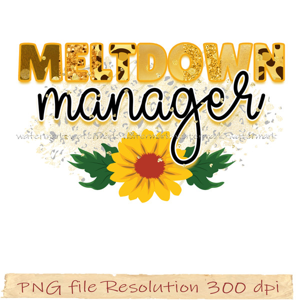 meltdown manager.jpg