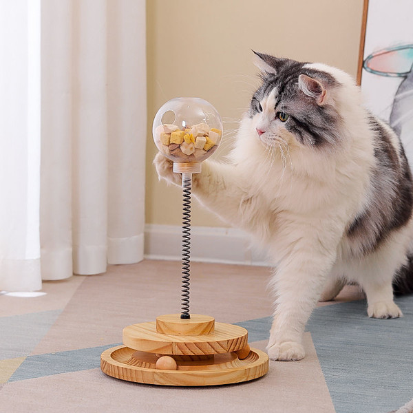 Pet-Cat-Educational-Toy-Leaking-Ball- (1).jpg