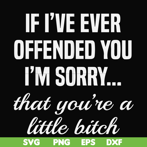 FN000505-If I've ever offended you I'm sorry that you're a little bitch svg, png, dxf, eps file FN000505.jpg
