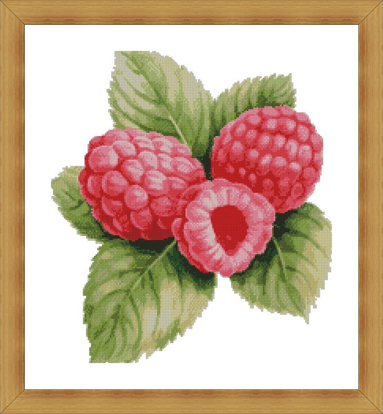 Watercolor Raspberry2.jpg