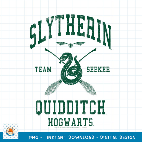 Kids Harry Potter Slytherin Team Seeker Quidditch Youth png, digital download .jpg