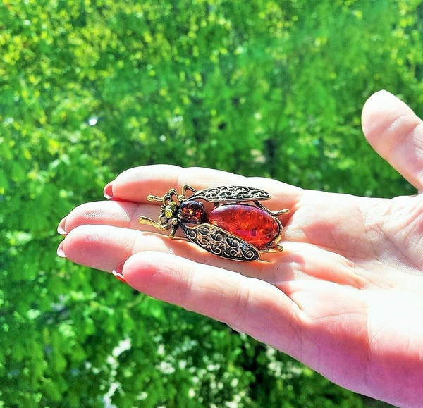 Cute Beetle Brooch Insect Jewelry Gift for Women Men Amber Summer Nature Jewelry Bug Brooch pin Vintage Orange Gold Antique Holiday gift friend mother.jpg