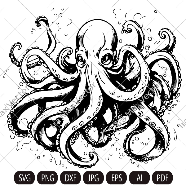 imv octopus.jpg