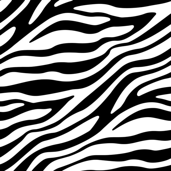 Zebra Skin Seamless Pattern Padded Sports Bra