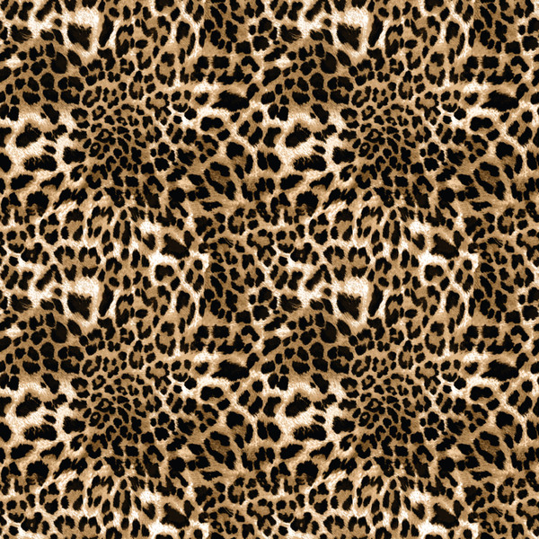 Leopard Print Animal Skin Pattern Recycled padded bikini top
