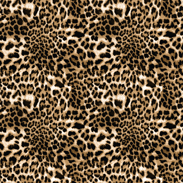 Leopard Print Animal Skin Pattern Padded Sports Bra