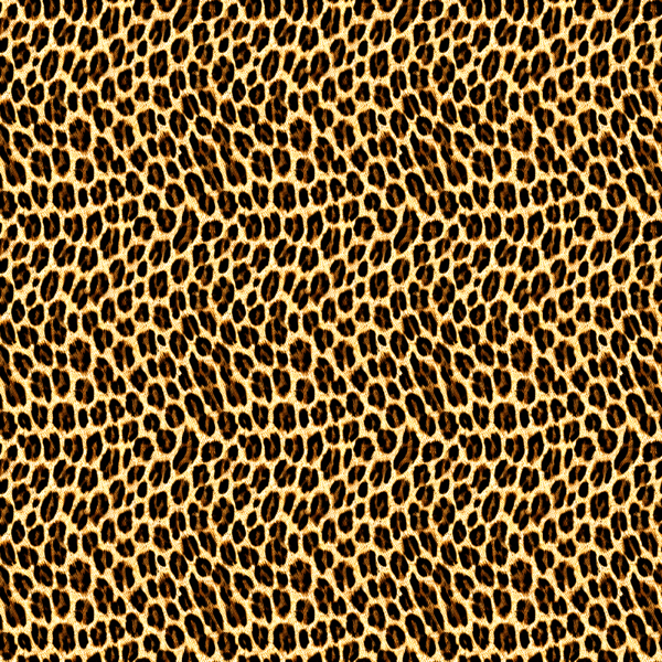 Leopard Skin Animal Print Seamless Pattern Longline sports bra