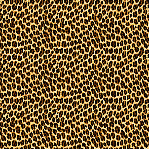 Leopard Skin Animal Print Seamless Pattern Yoga Shorts