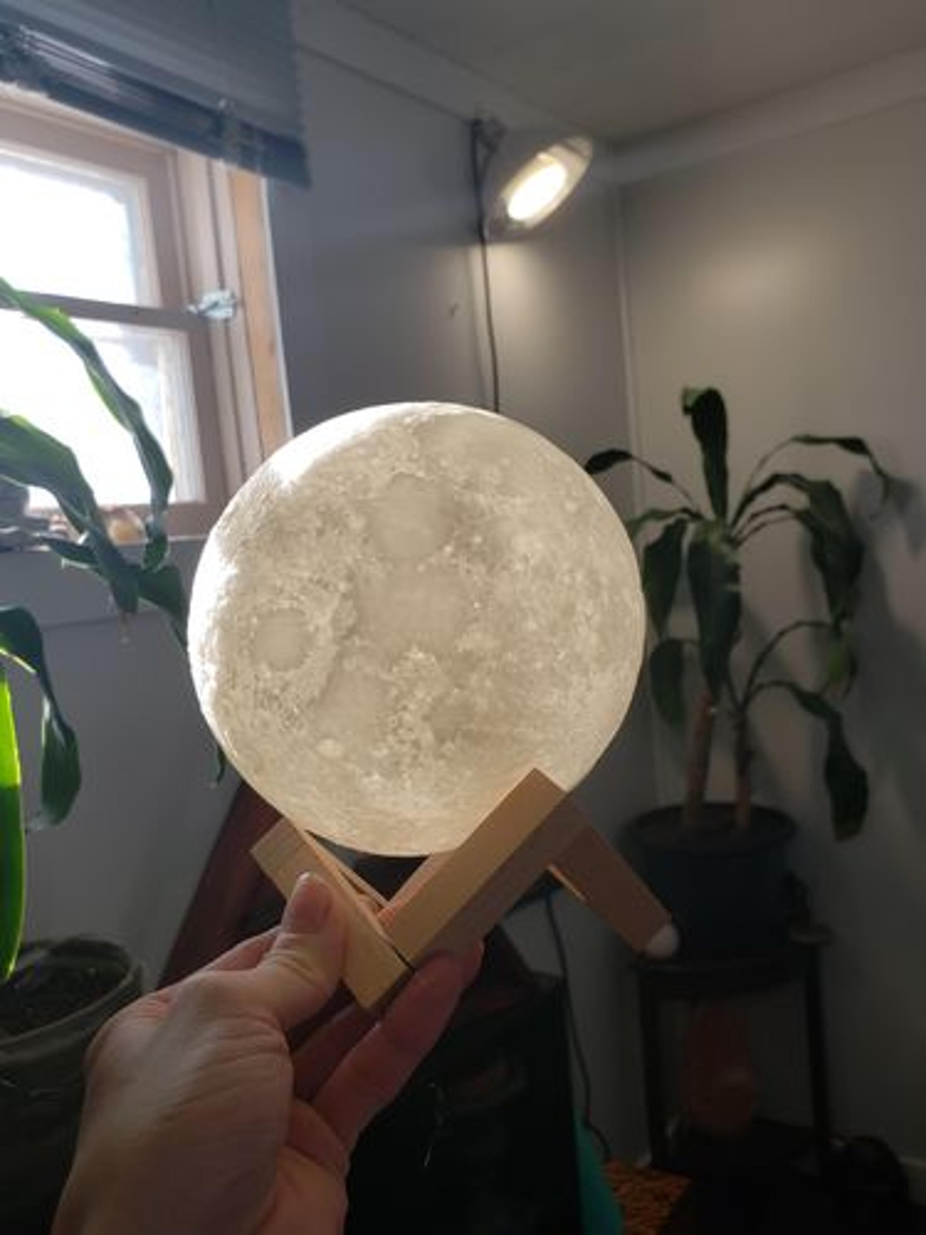 Customer Review Photo