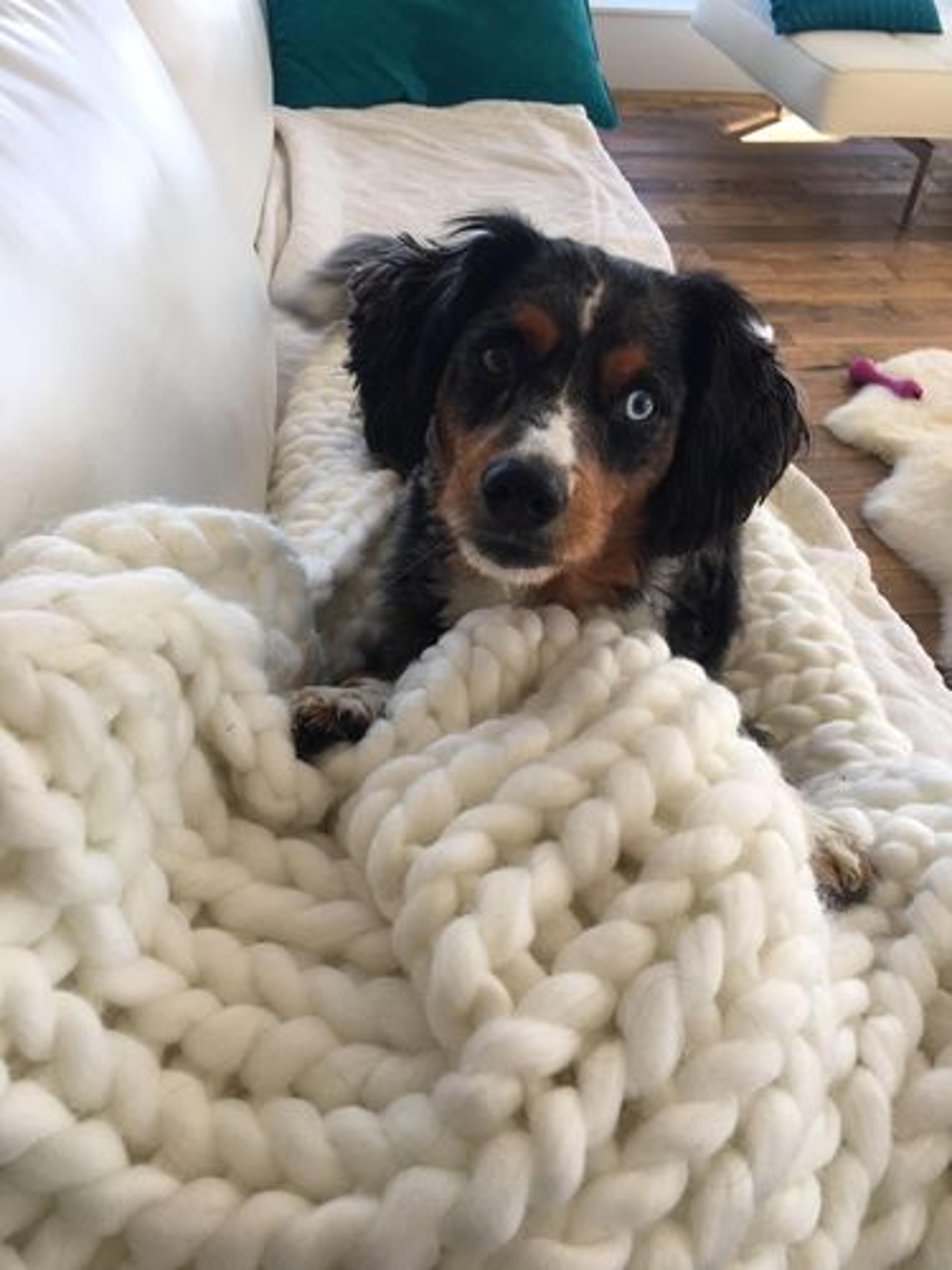 Customer Review Photo