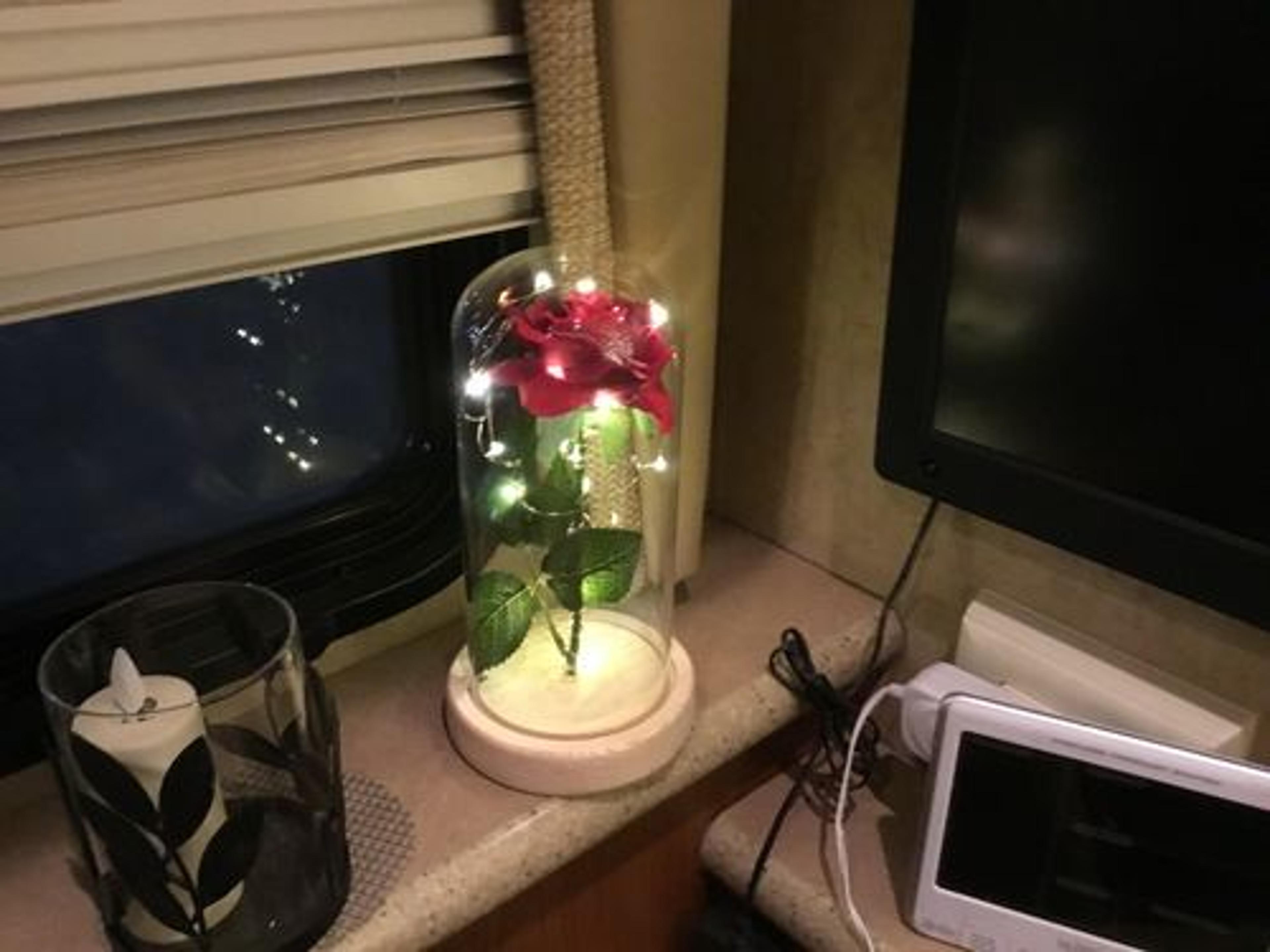 Customer Review Photo