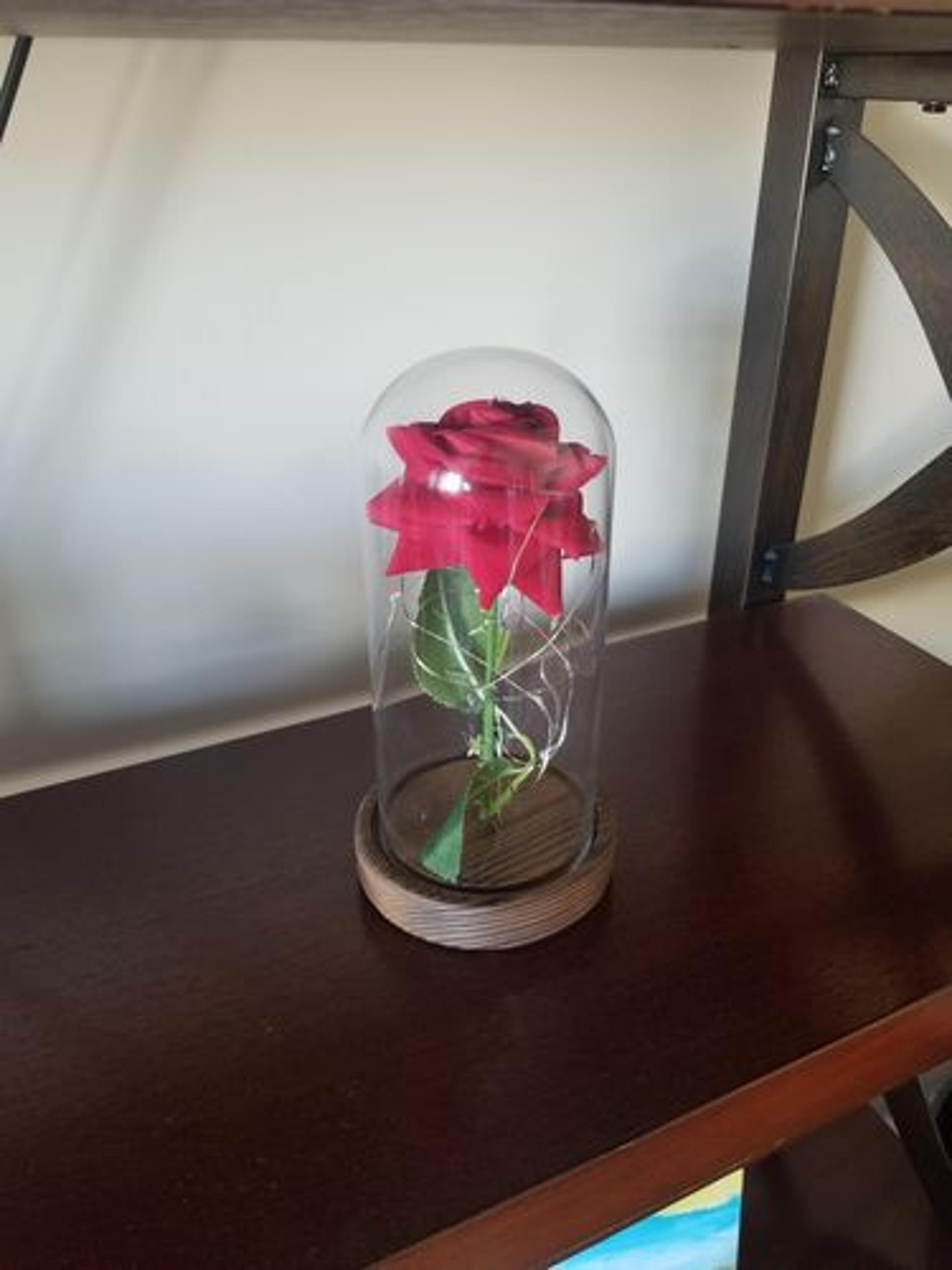 Customer Review Photo