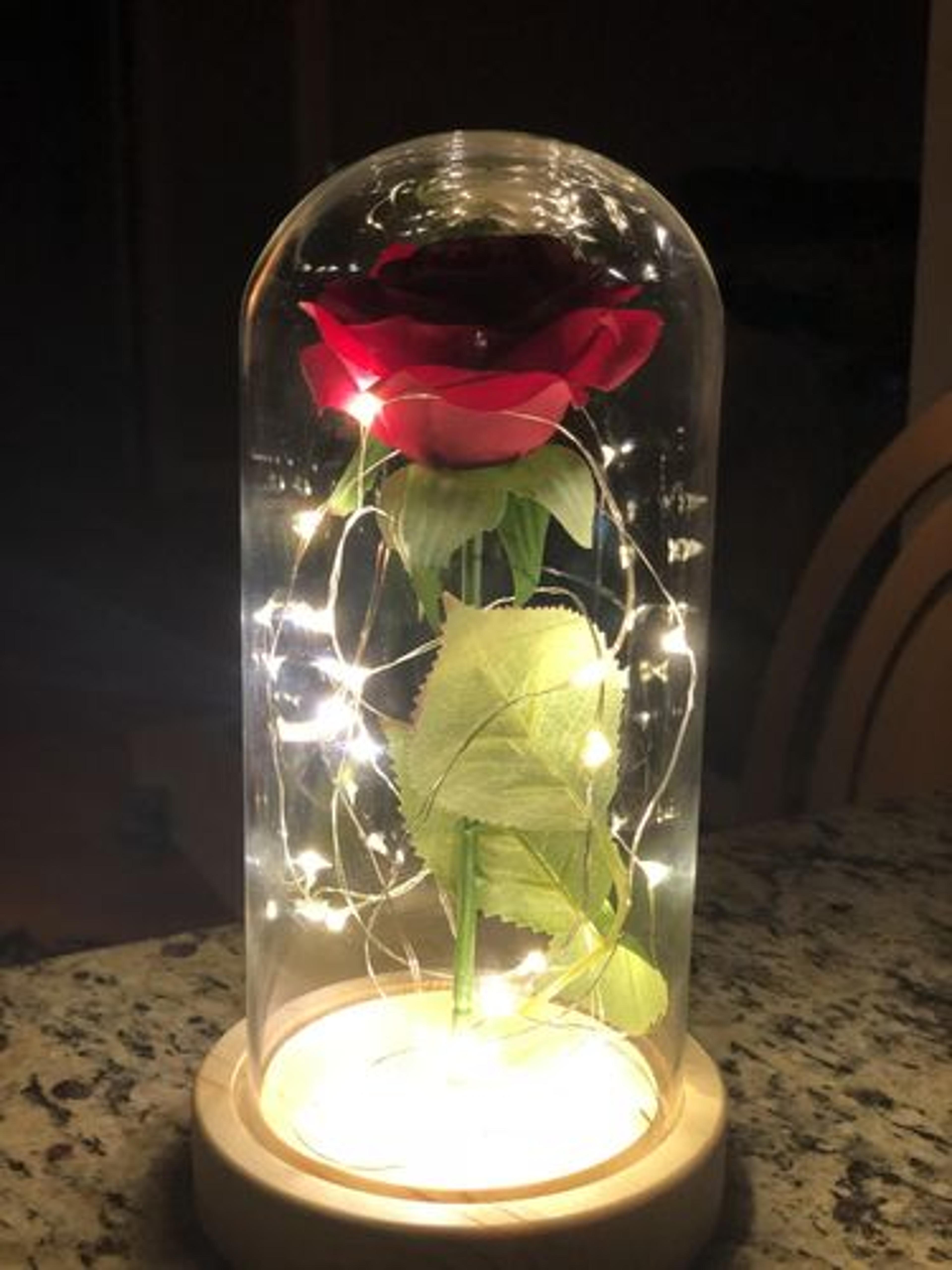 Customer Review Photo