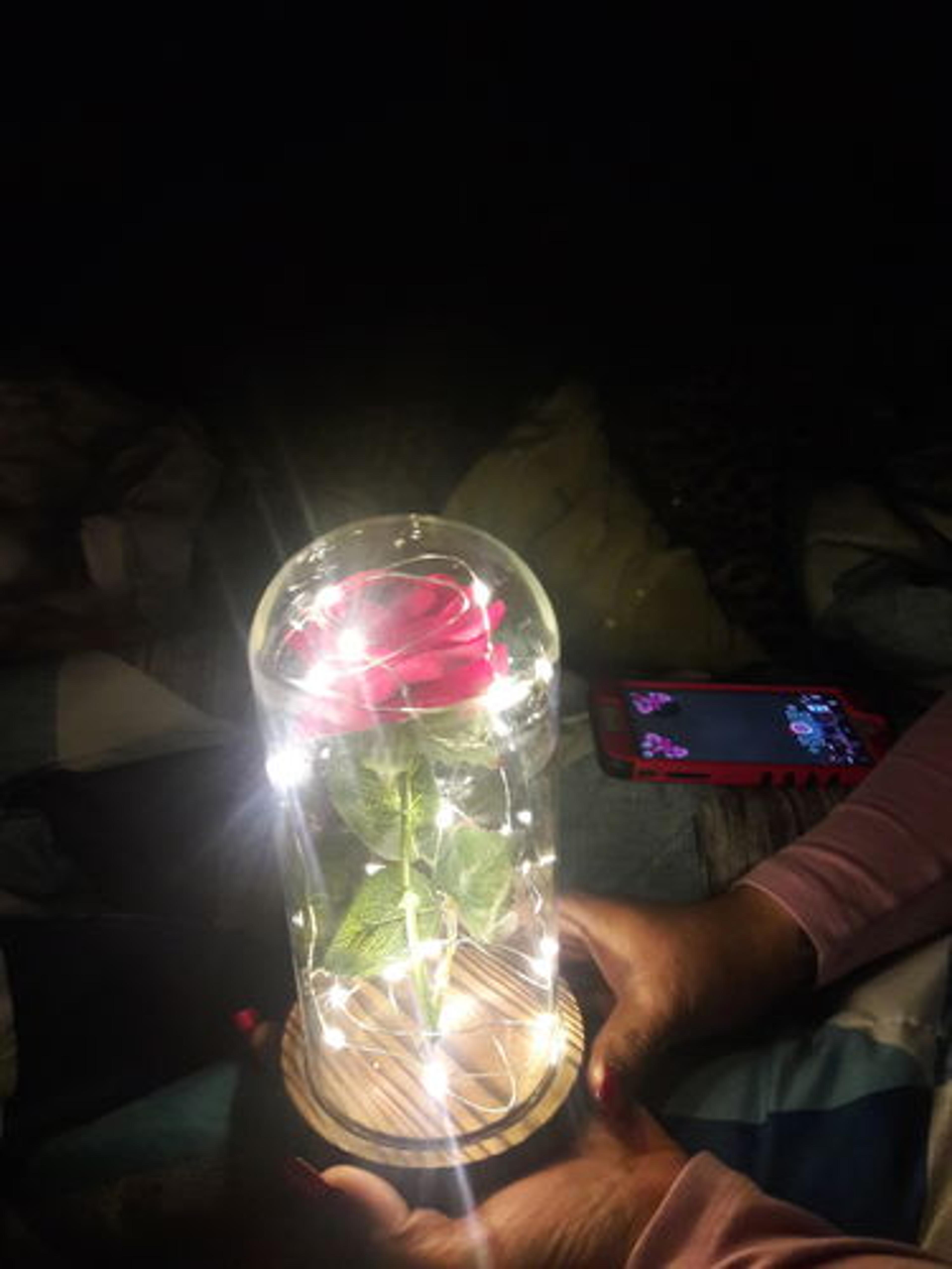 Customer Review Photo