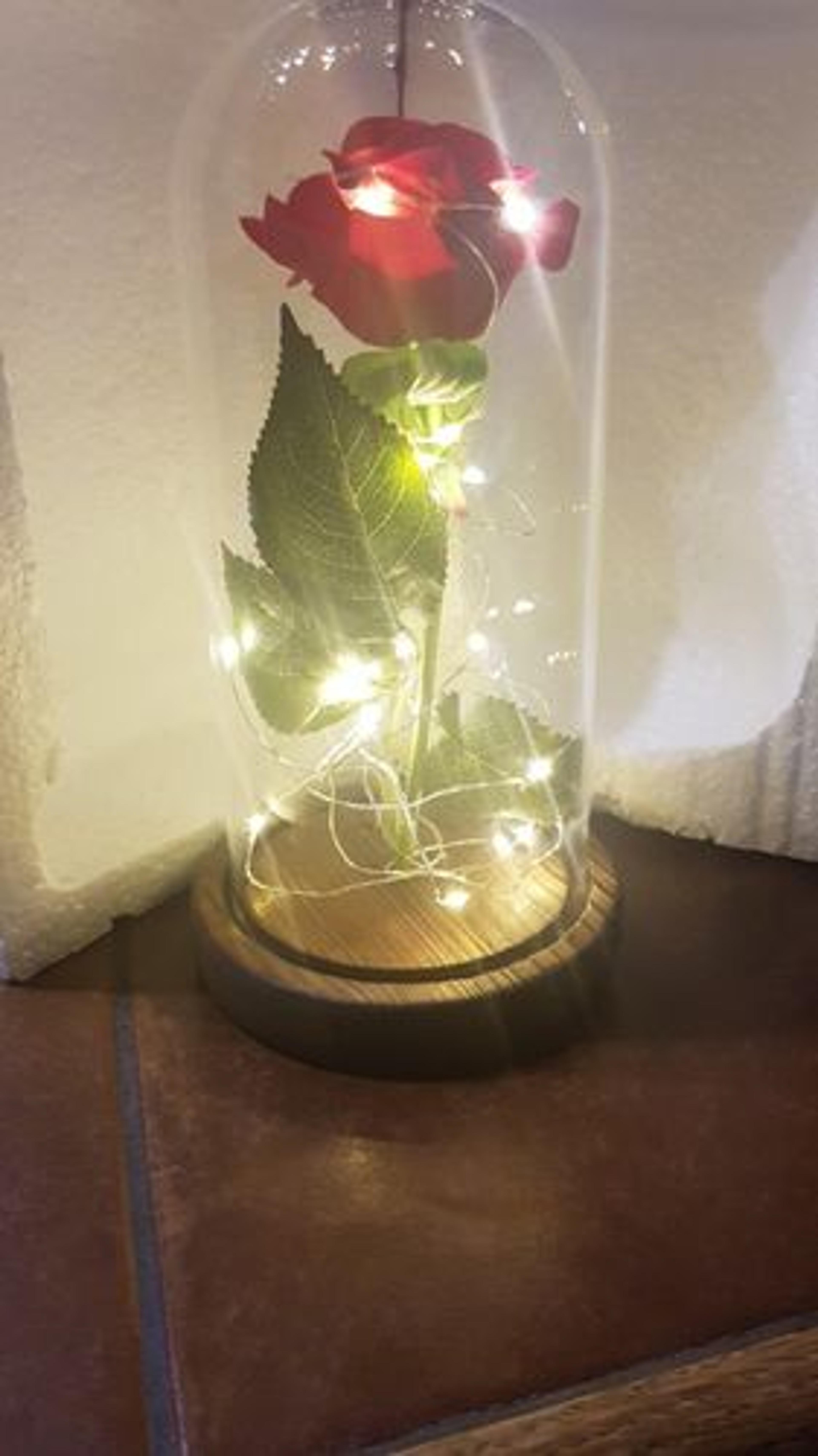 Customer Review Photo