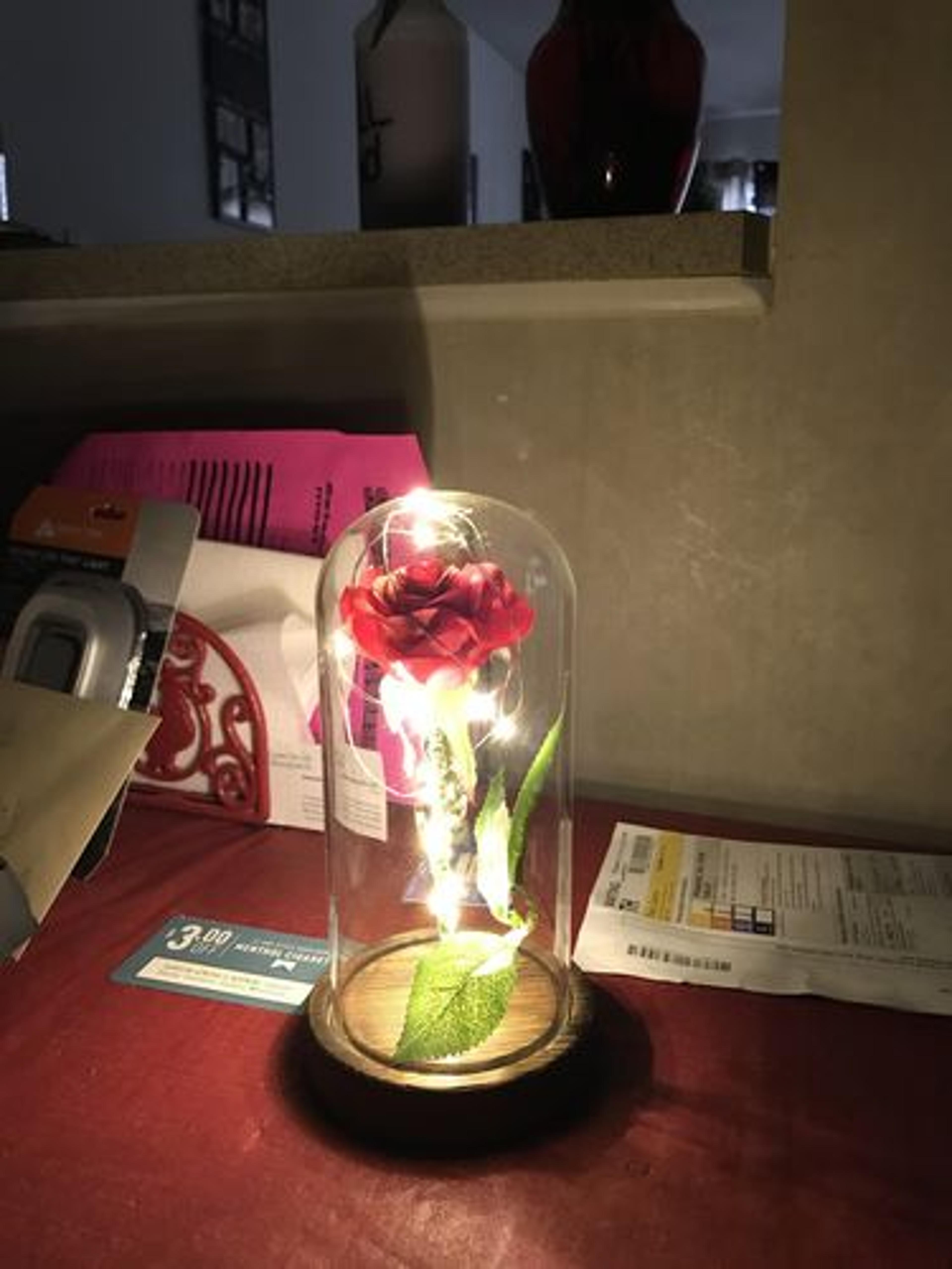 Customer Review Photo