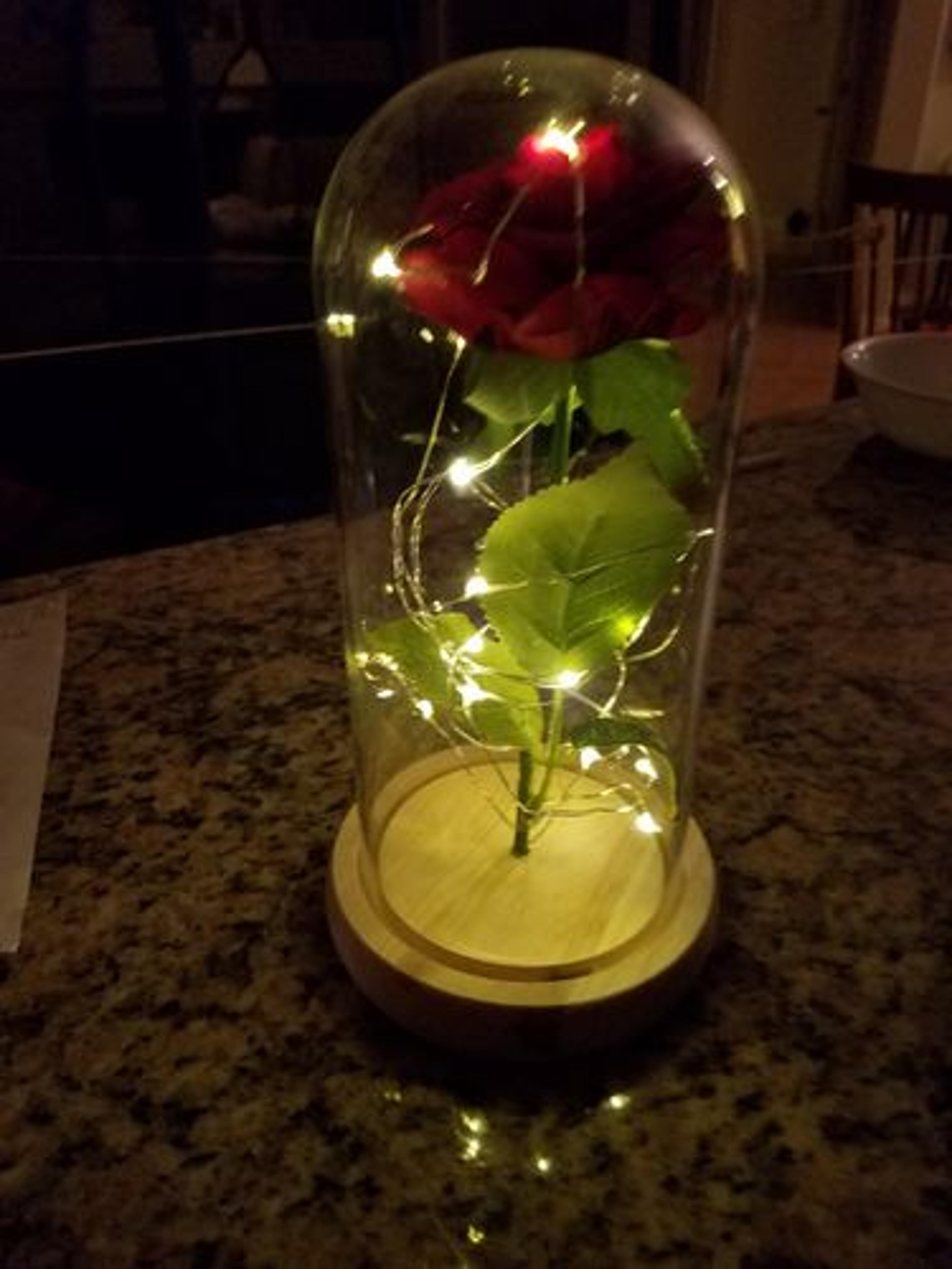 Customer Review Photo