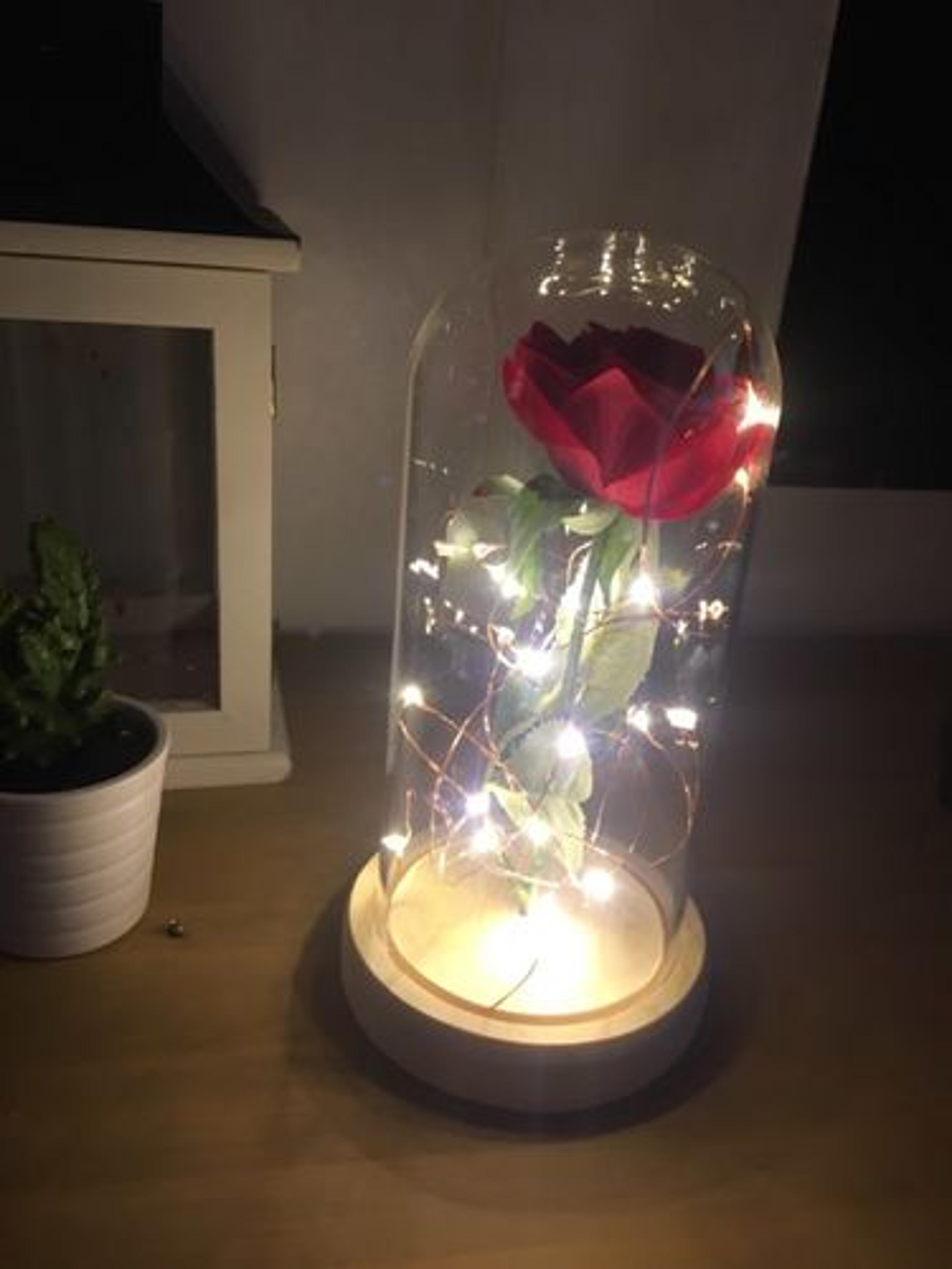 Customer Review Photo