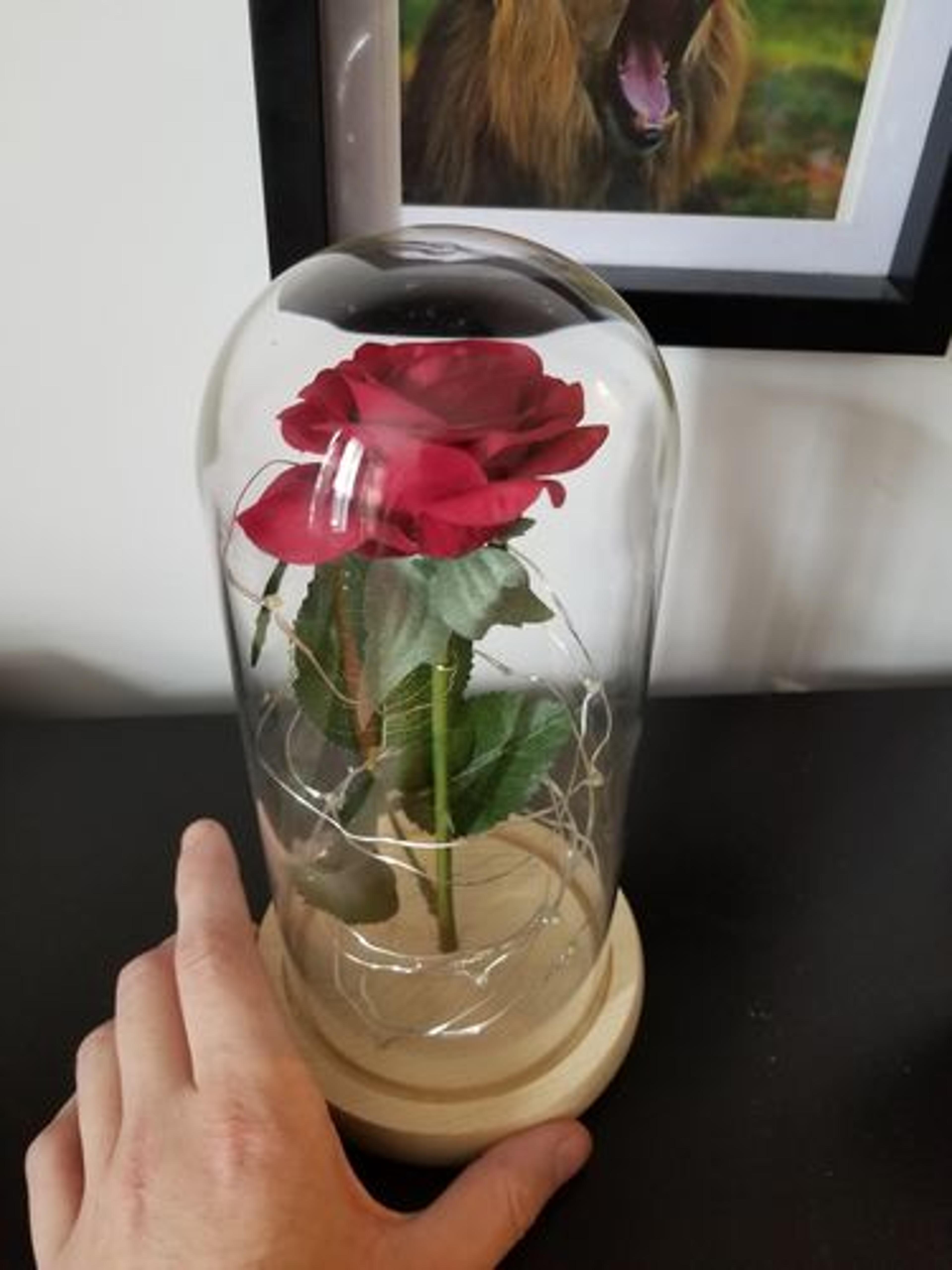 Customer Review Photo