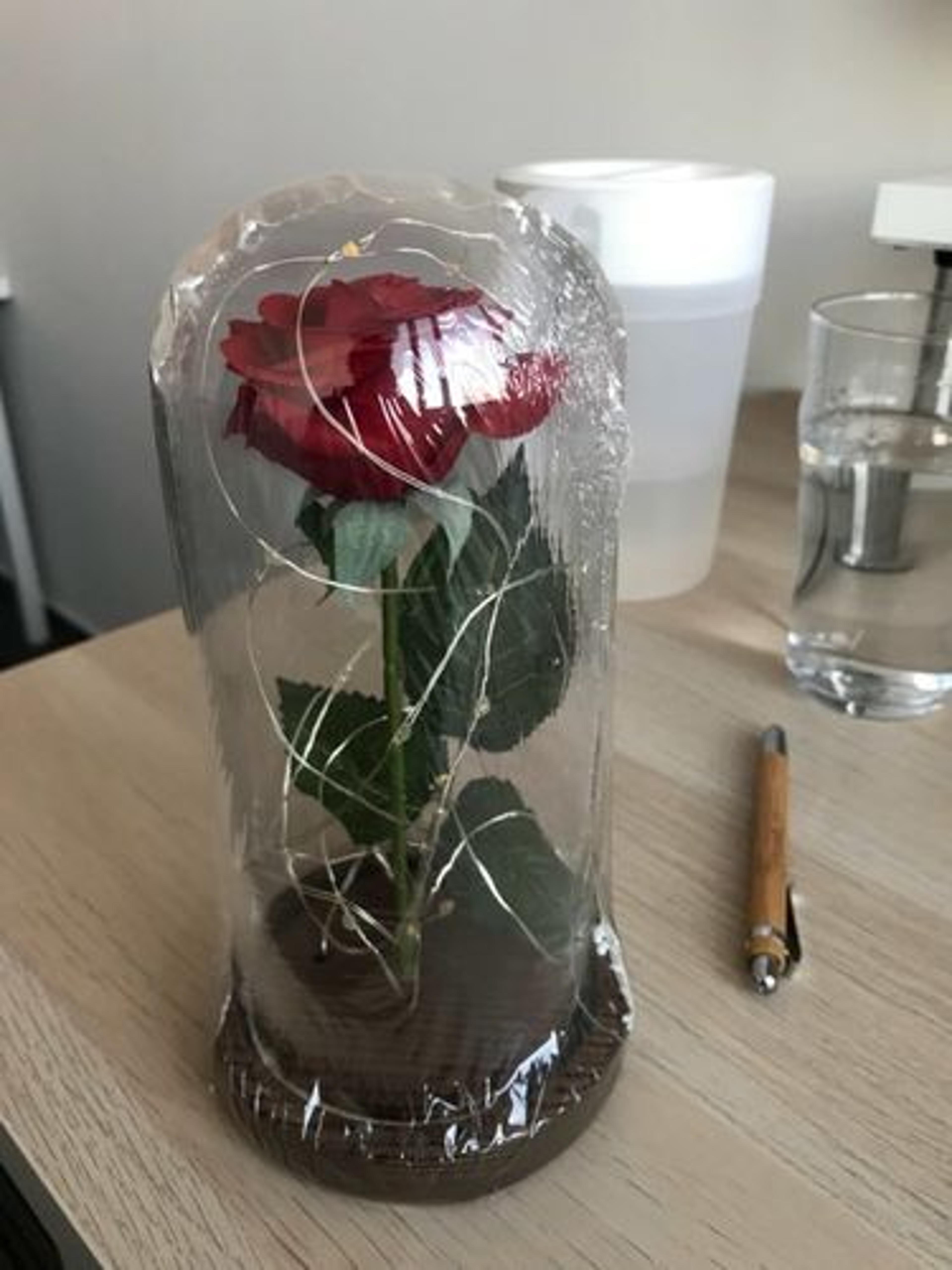 Customer Review Photo