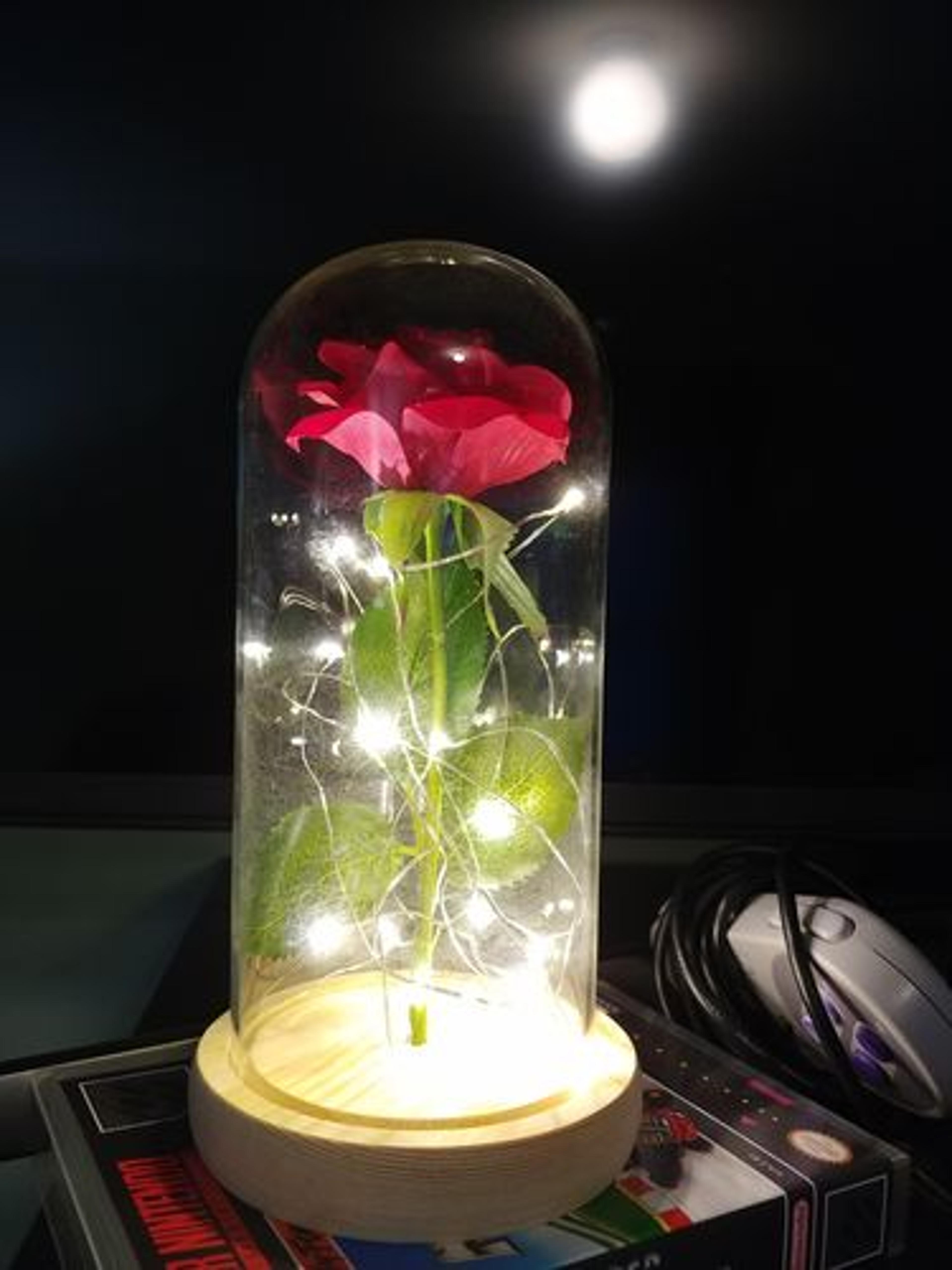 Customer Review Photo