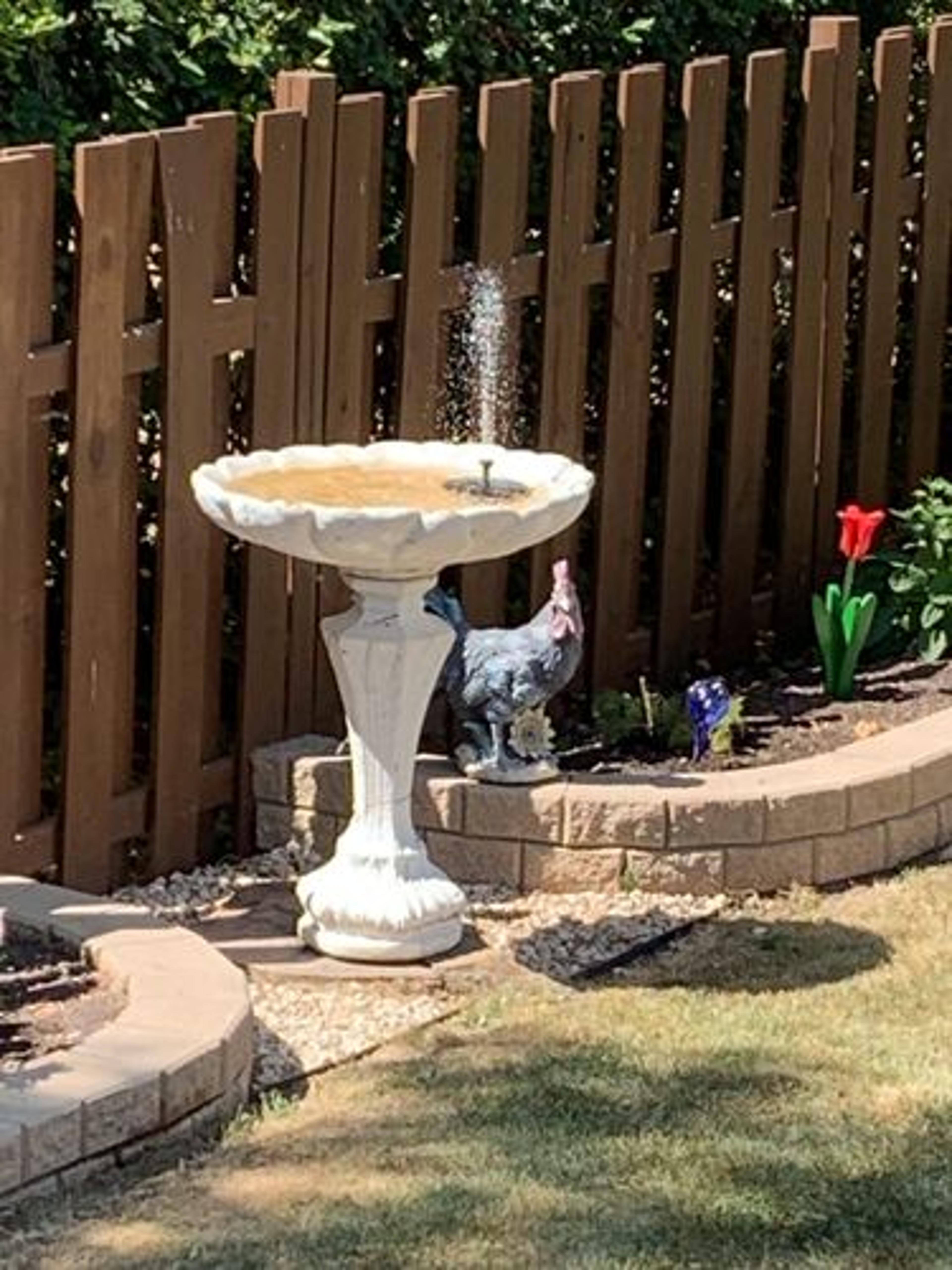Customer Review Photo