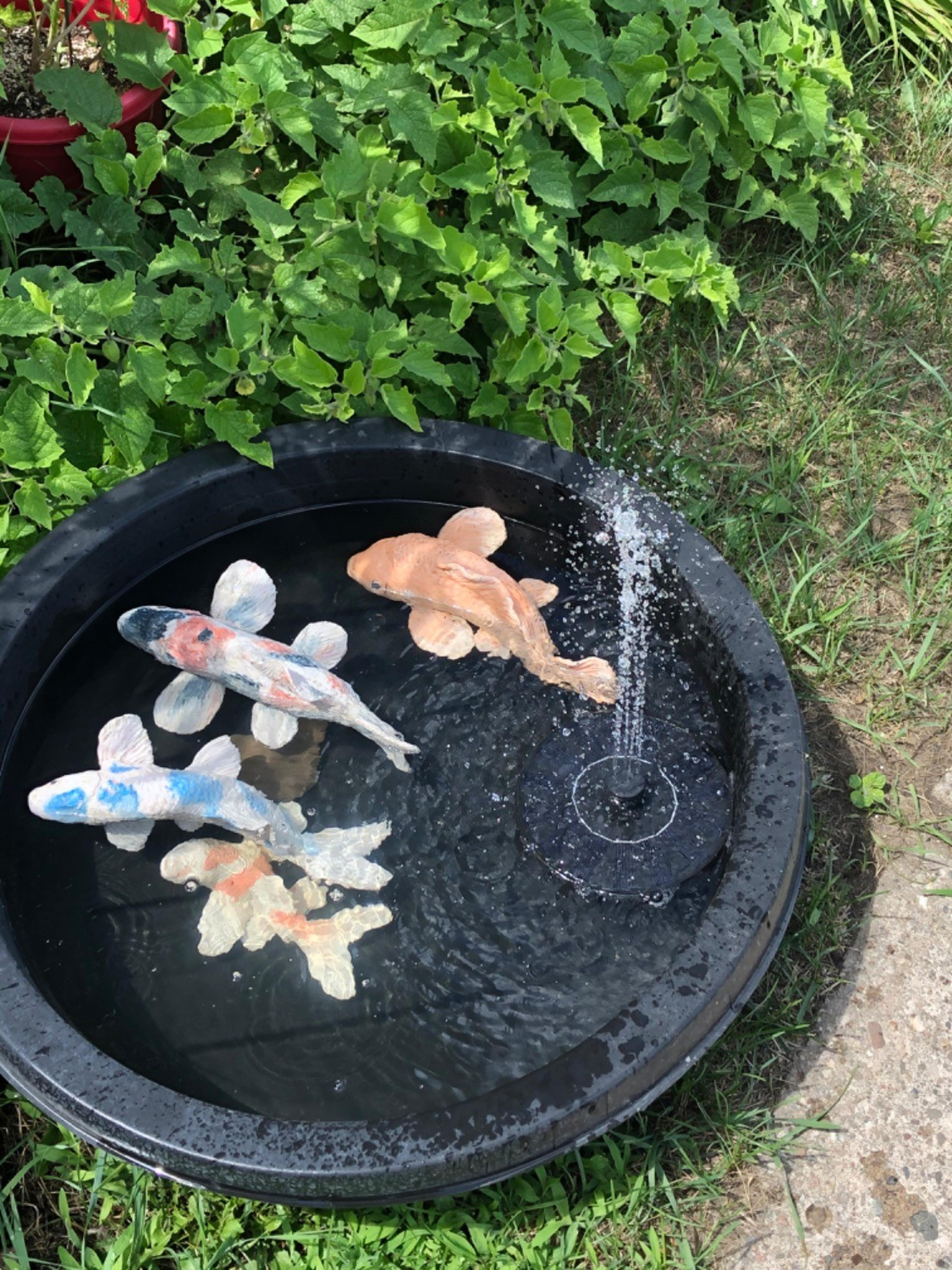 Customer Review Photo